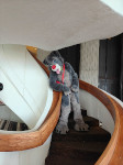 alt text